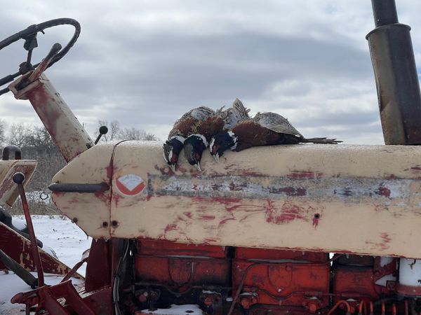 Shotz Fired Guide Service