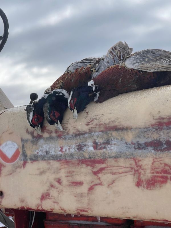 Shotz Fired Guide Service