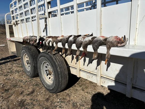 Shotz Fired Guide Service