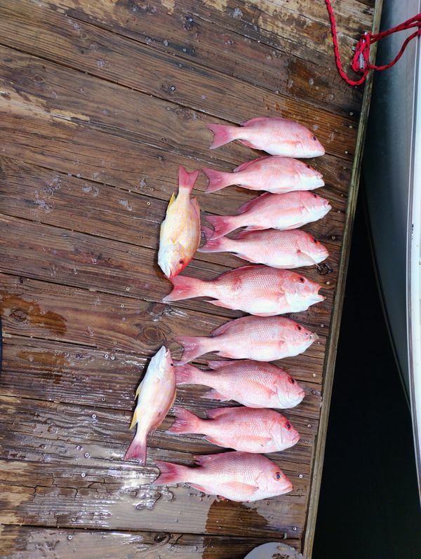 Reel Deal Fishing Charters LLC