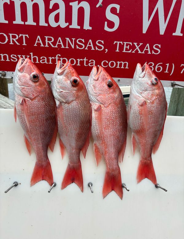 Reel Deal Fishing Charters LLC