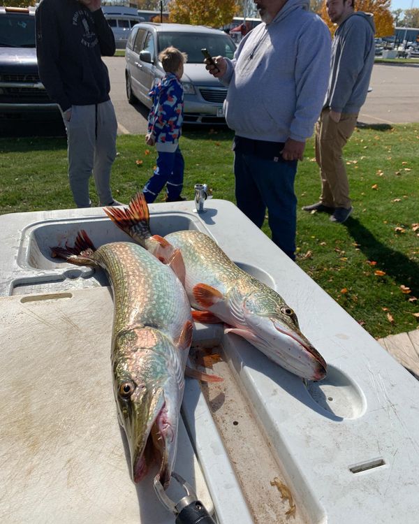 Danny Boy Fishing Charters