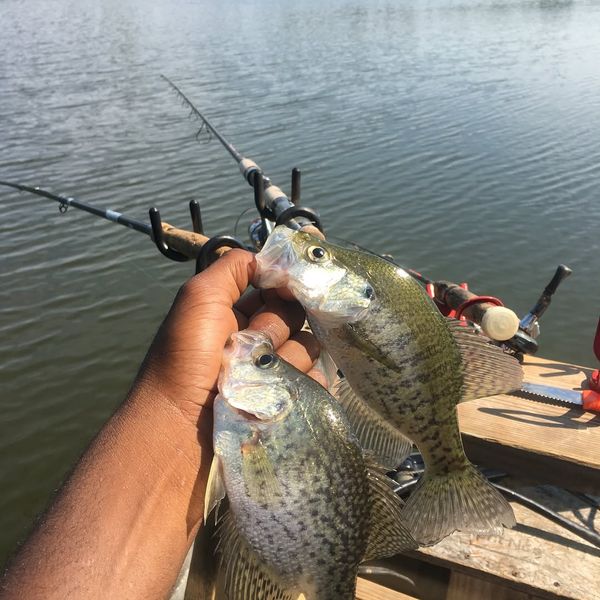 Mitchell Fort Fishing