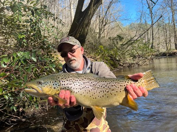 Matt Dorsey Fly Fishing