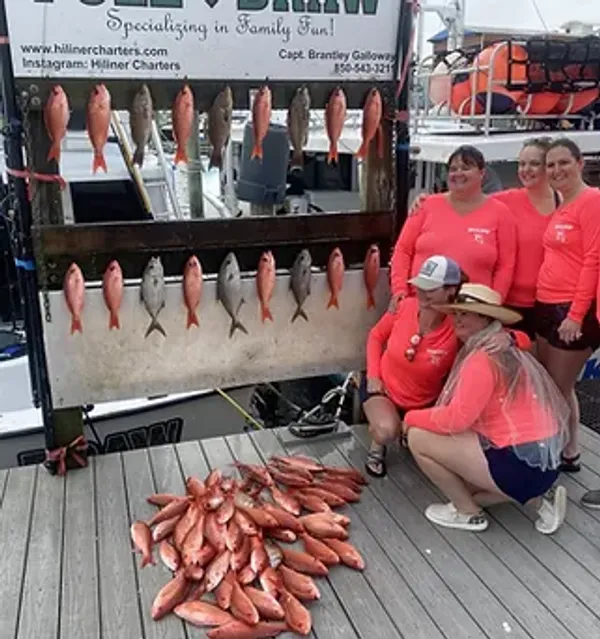Hiliner Charters