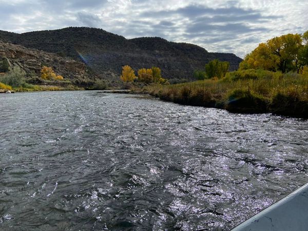 Ichthys Guide Service