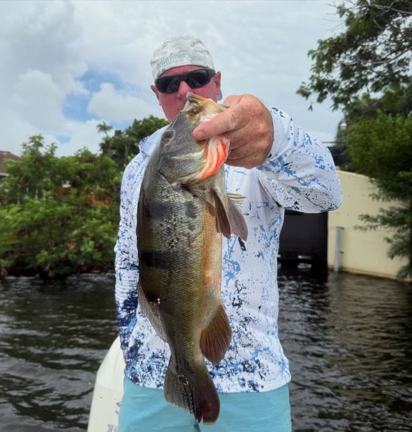 Locked and Loaded Charters