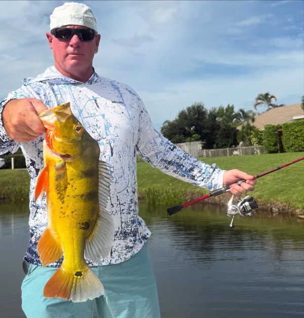 Locked and Loaded Charters