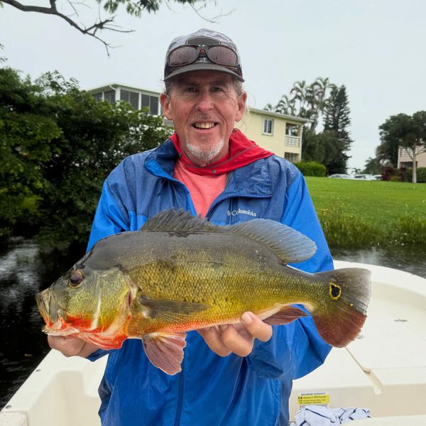 Locked and Loaded Charters