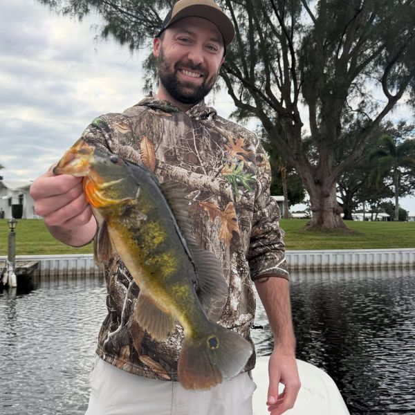 Locked and Loaded Charters