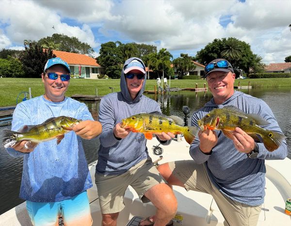 Locked and Loaded Charters