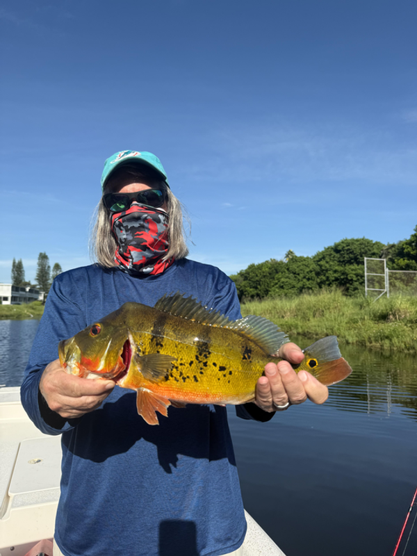 Locked and Loaded Charters
