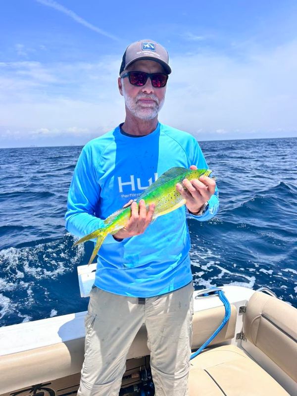 Just Add Water Charters