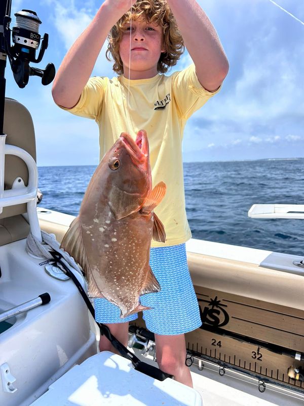 Just Add Water Charters