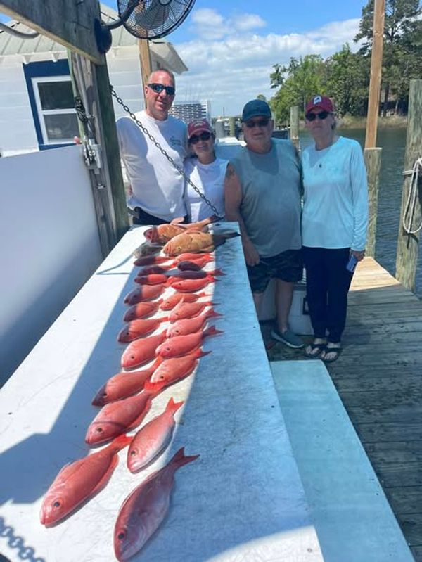 Just Add Water Charters