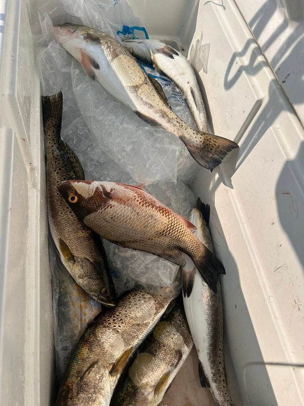 State Line Charters And Guide