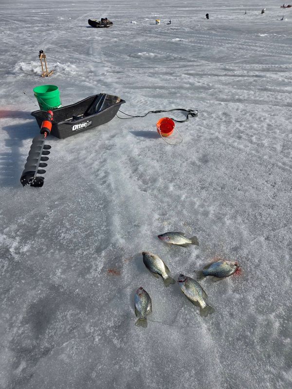 Sirny's Guide Service