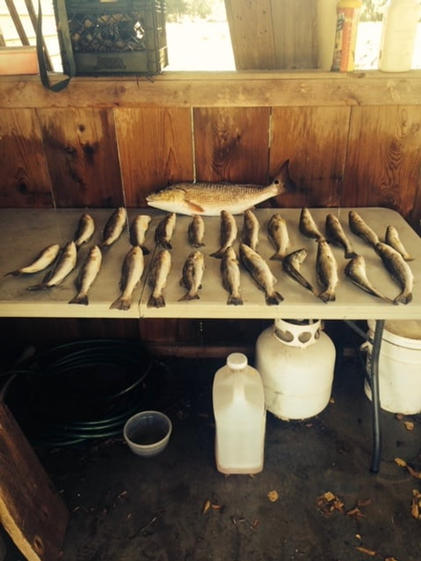 Backwoods Bay Fishing Charters