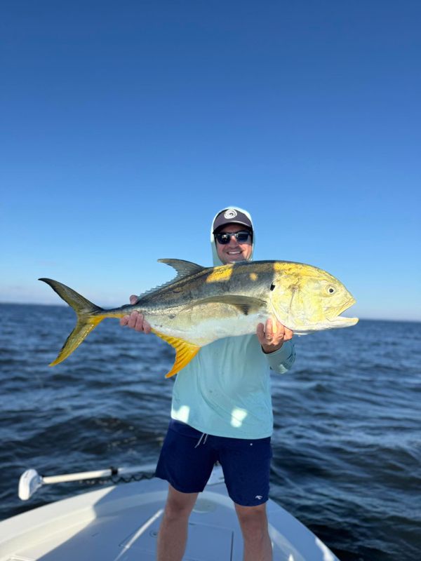 Spitzer Outfitters