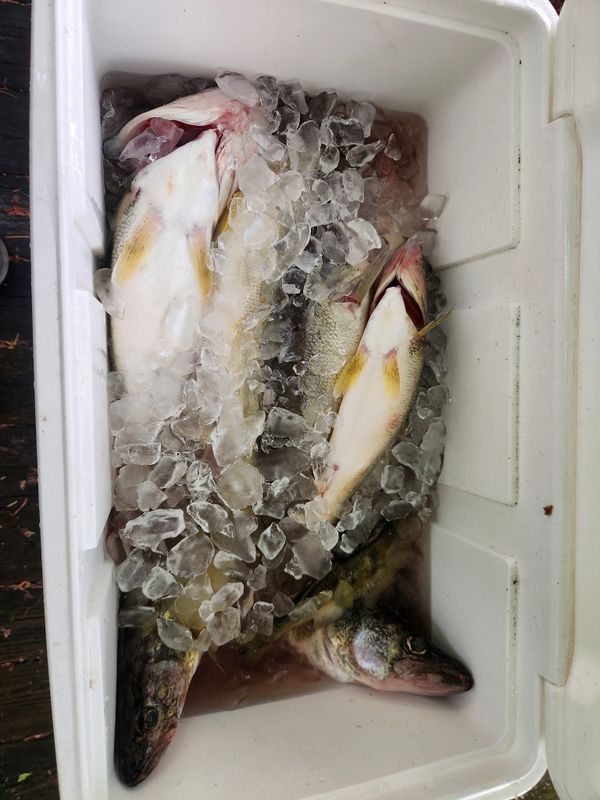 Dusk Till Dawn Charters