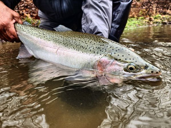 Around The Bend Fly Fishing