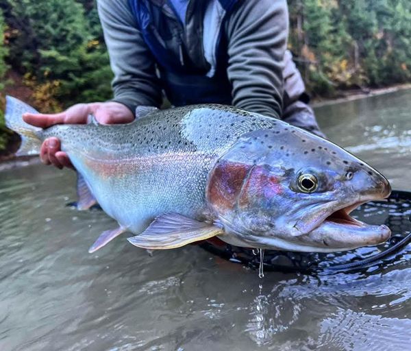 Around The Bend Fly Fishing