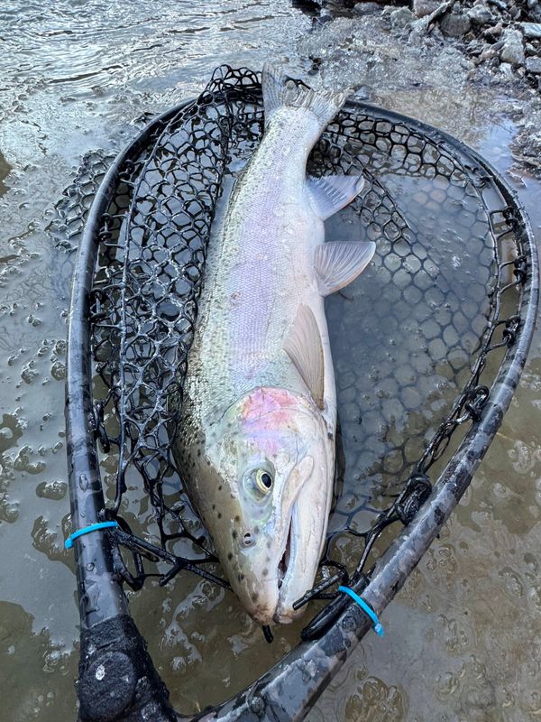 Around The Bend Fly Fishing