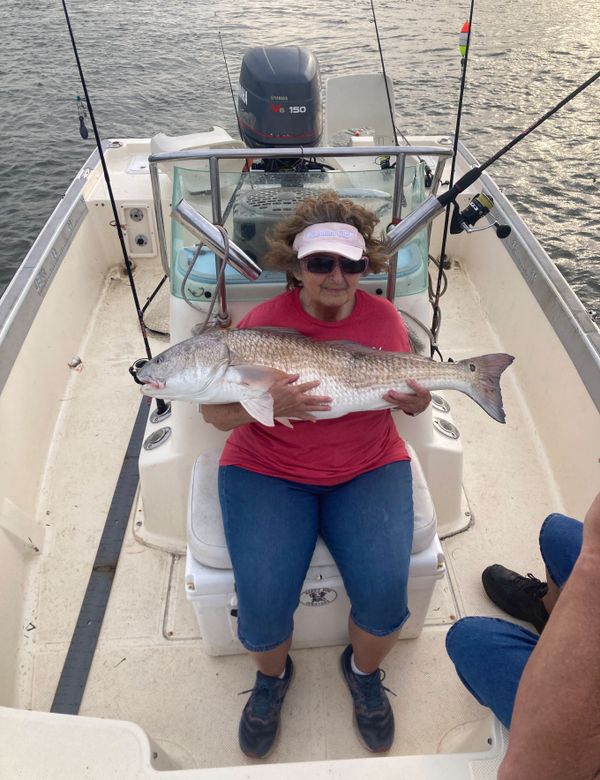 Happy Dog Charters
