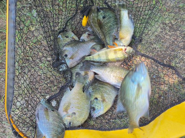 Keep It Reelin Guide Service