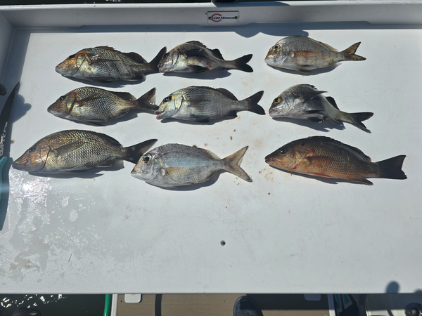AA Fishing Charter
