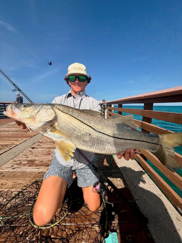 Weekley Fishing Charters