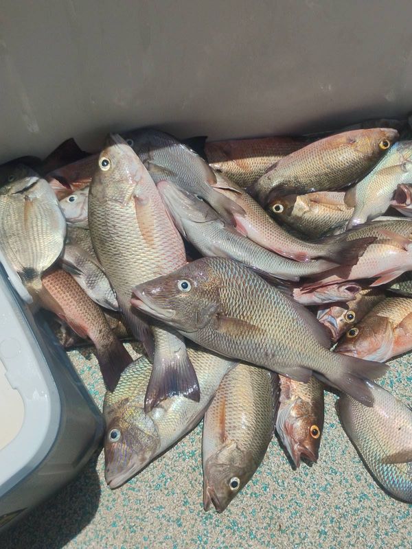 Glo 1 Fishing Charters