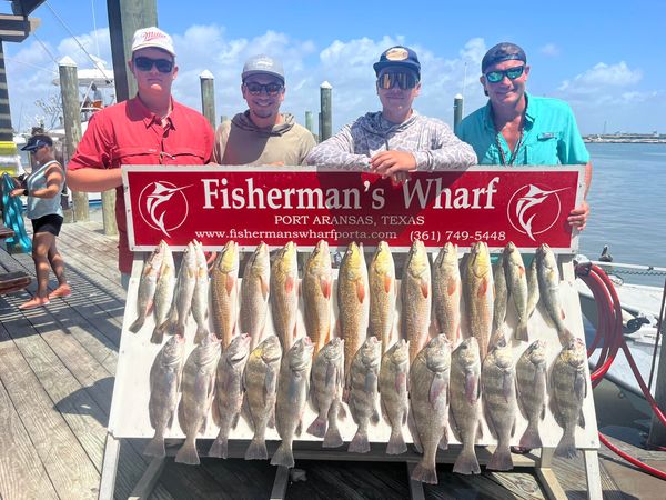 Barefoot Charters