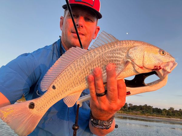 Rocky Branch Charters
