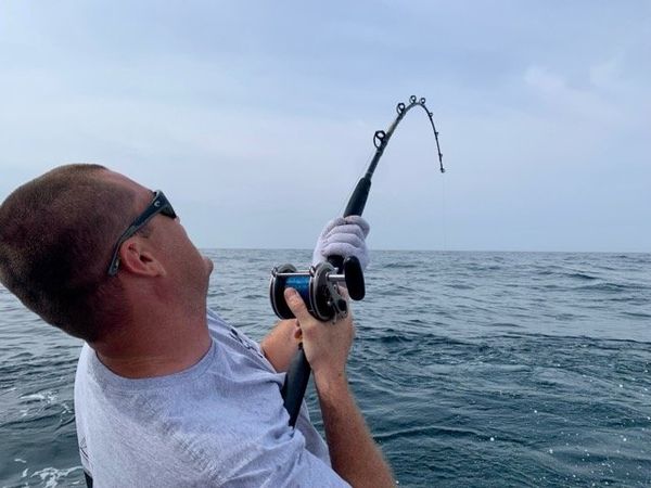 Mayhem Charters