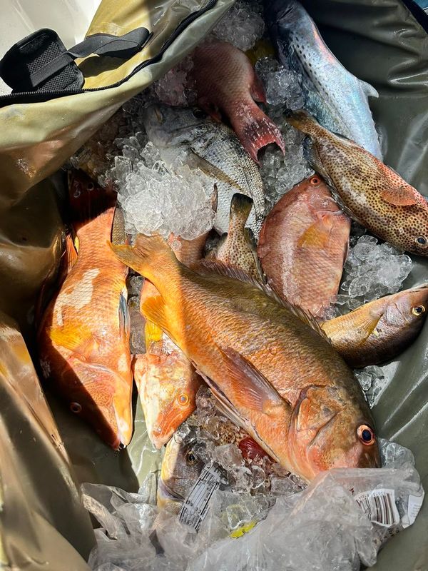 Curate Fishing Charters