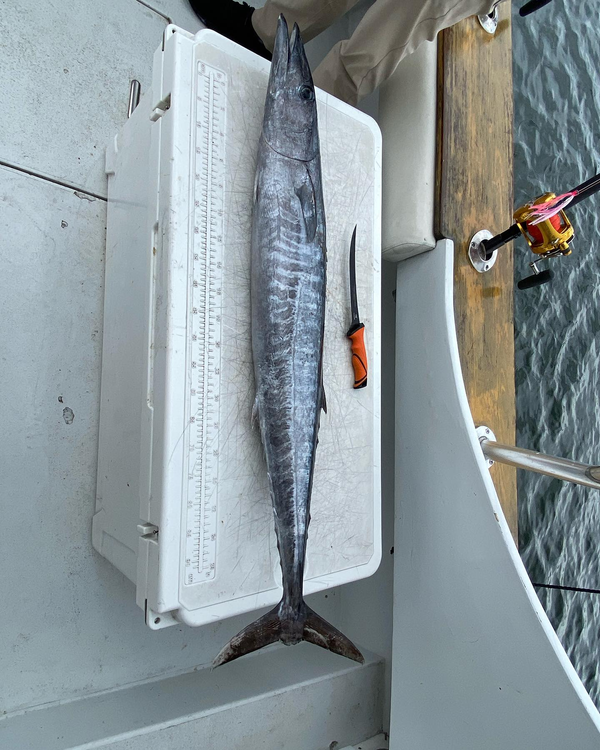 Don't Panic Sport Fishing - 47' Sportfish