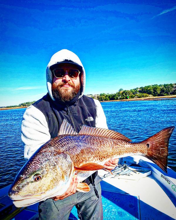 Write Off The Rip Charters – Offshore