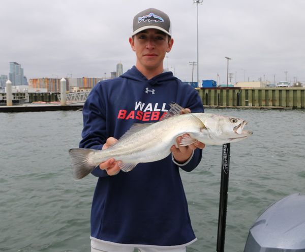 Risen Tide Sportfishing