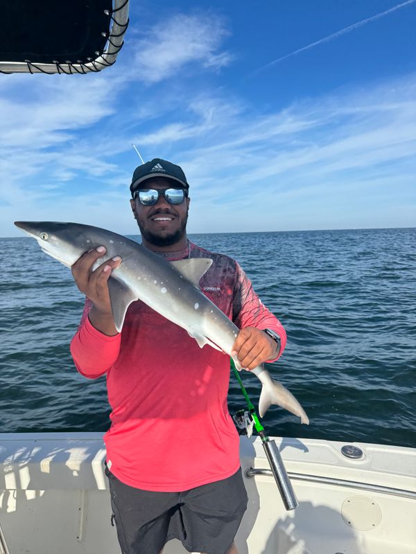 Hook N Line Fishing Charters LLC