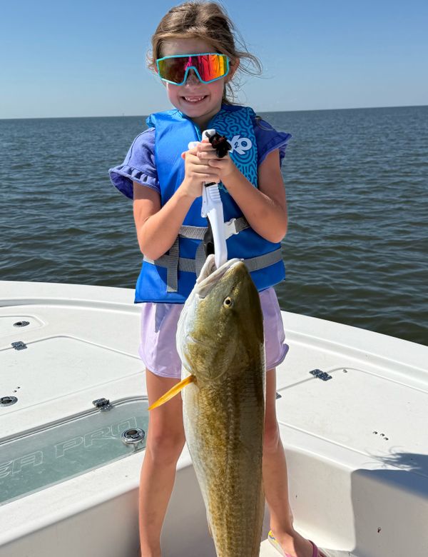 Hook N Line Fishing Charters LLC