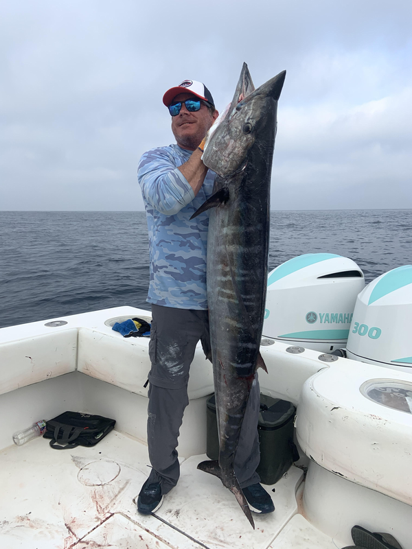 Line Check Charters