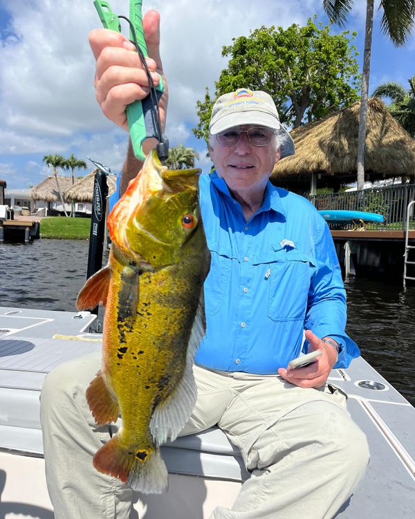 Lake Ida Fishing Charters