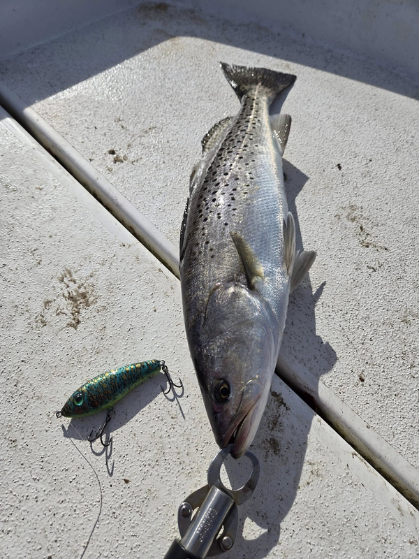 Flippin Out Guide Service