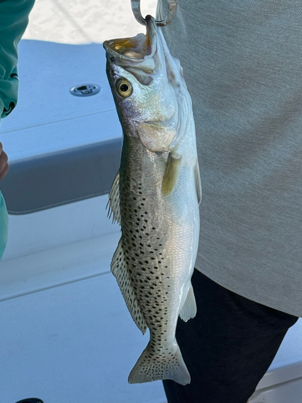 All 4 Chuck Fishing Charters