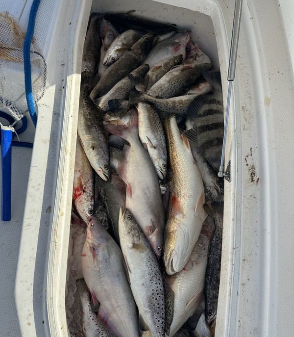 Adventure Fishing Charter