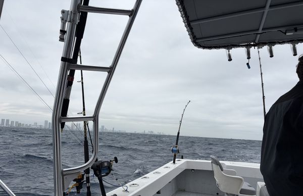 Finway Sportfishing