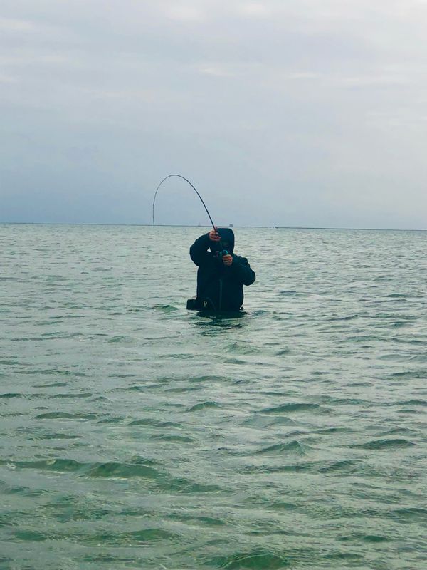 Island Guide Service