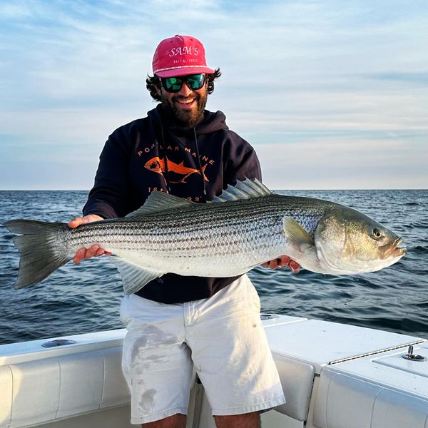Fishfreshlysalted Guide Service
