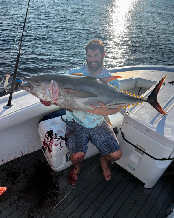 Fishfreshlysalted Guide Service